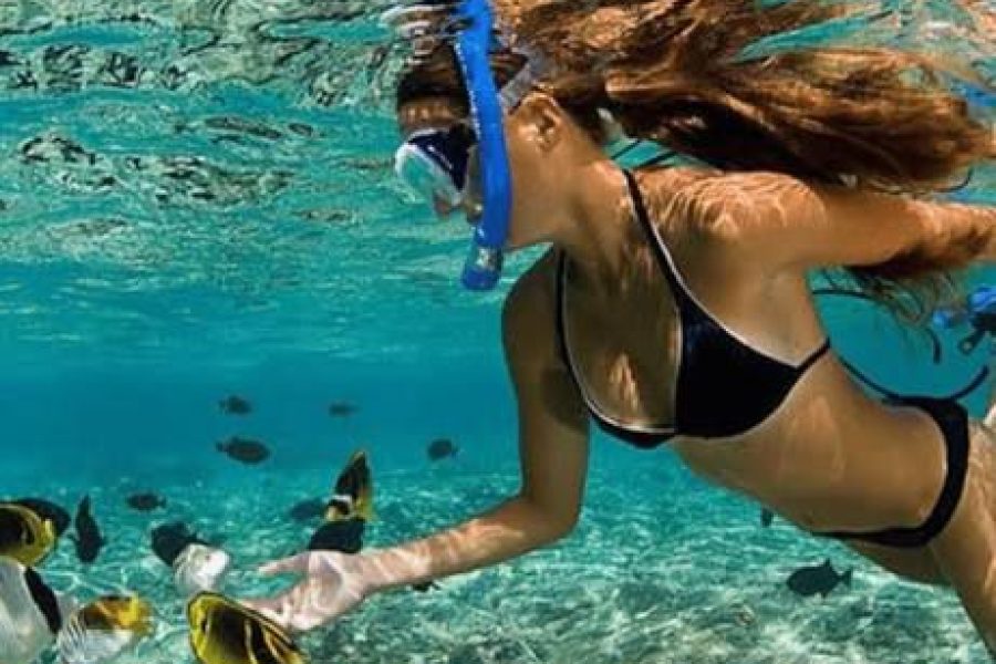 Tour Isla Catalina Exclusive