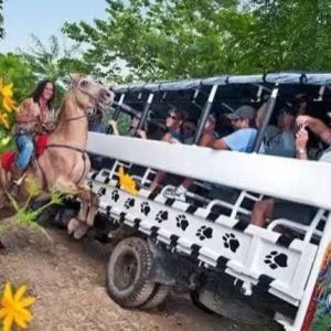 Dominican Republic Safari – 4×4 Jungle Adventure Through Hidden Villages & Rivers