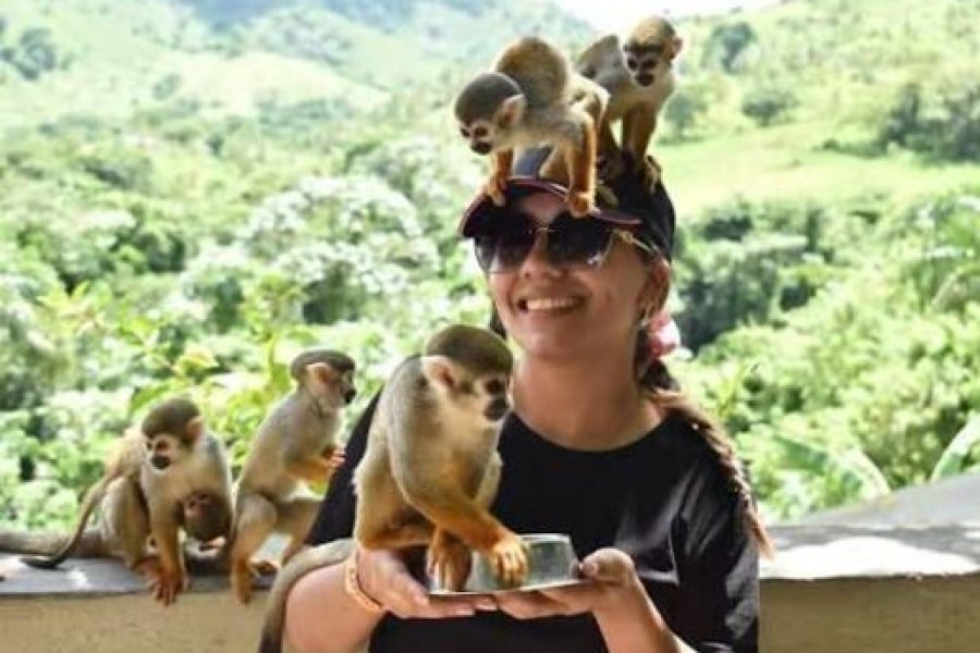 MonkeyLand Punta Cana
